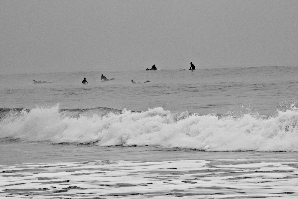 surfeurs