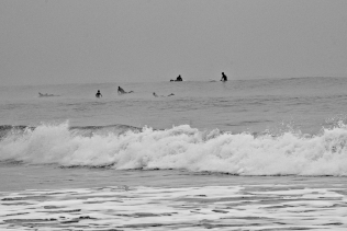 surfeurs
