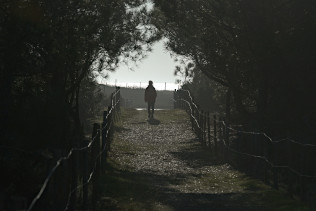 chemin